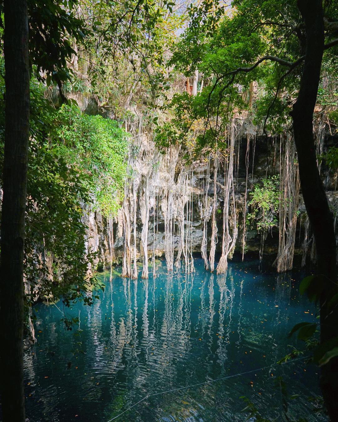 los cenotes mas hermosos de yucatan, cenote yokdzonot, top cenotes, top yucatan