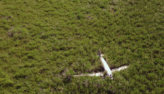 avion de pablo escobar en celestun, avion abandonado en Yucatan